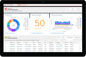 Government Permitting and Licensing & How to Harness the Power of Data